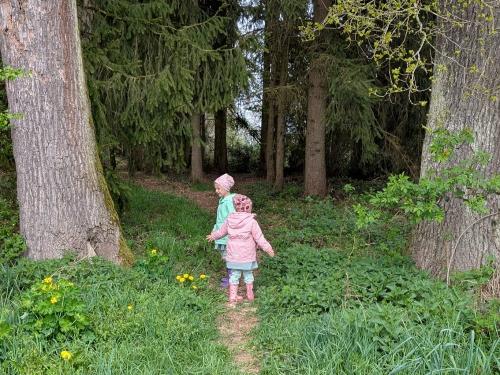 Waldspaziergang