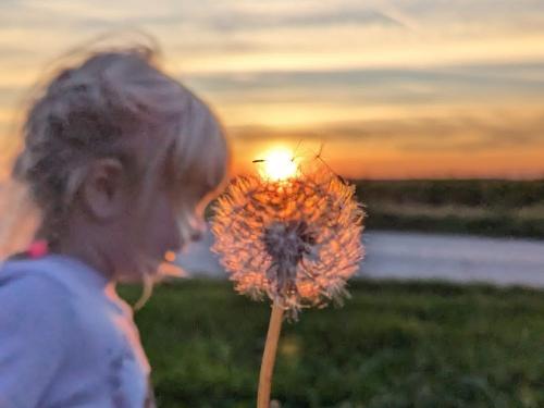 Herrliche Sonnenuntergänge