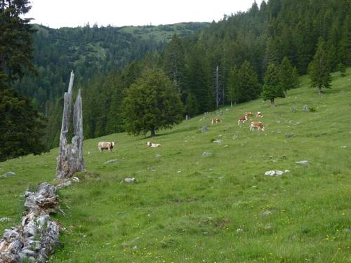 Wanderung zur Hinteralm