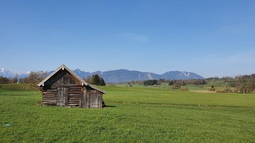 Natur pur, Wanderung durch das Murnauer Moos