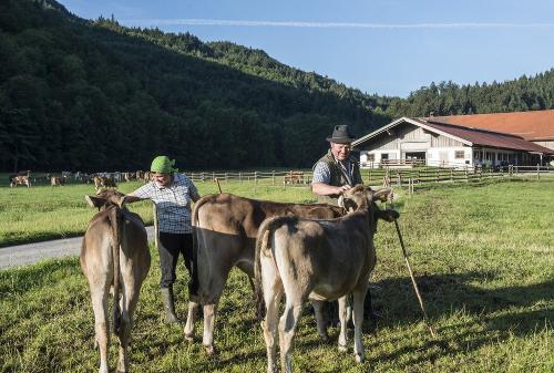 schnach_eschenlohe_streicheleinheitadsc_6830