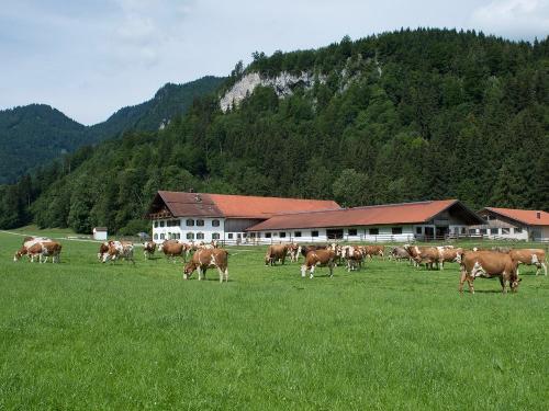 schnach_eschenlohe_titelbildadsc_7936