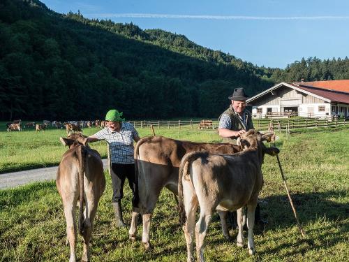 schnach_eschenlohe_streicheleinheitadsc_6830