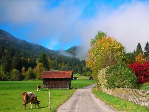 Herbststimmung