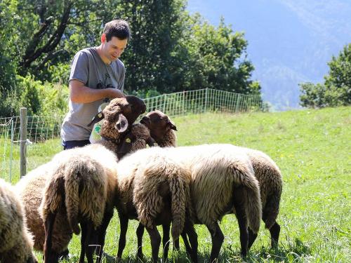 Schafe draußen mit Markus