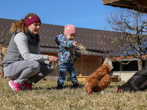 Johanna mit den Hühnern