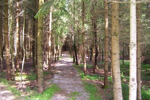 Wanderweg