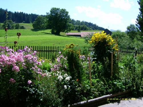 bildervomhausundgarten006