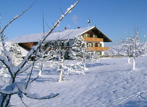 bild12