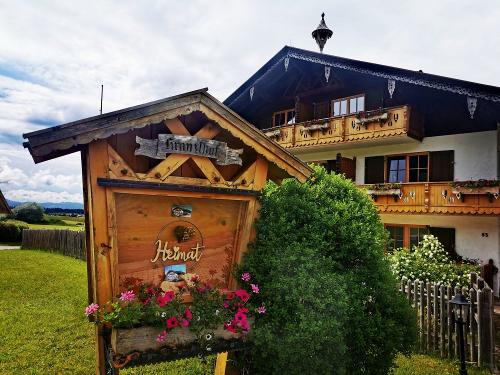 IMG_20250523_155324 IMG_20250523_155324