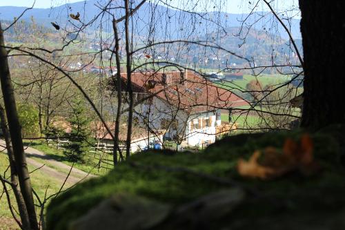 Herbst