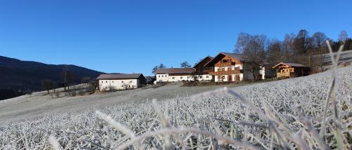 Kriegerhof
