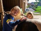Huisnhof030925mf235