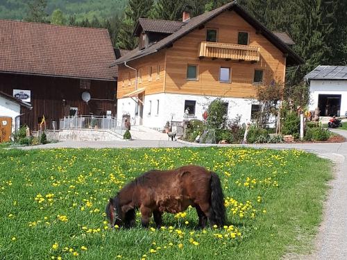 paulihof