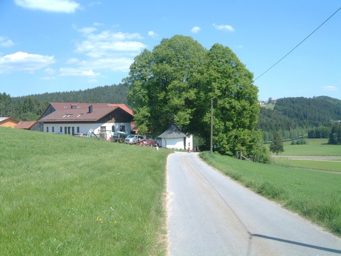 Blick auf den Ferienhof