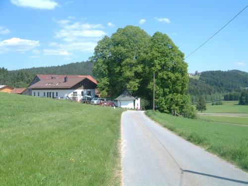 Blick auf den Ferienhof