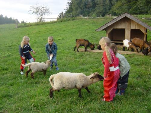 Streicheltiere auf dem Wieshof