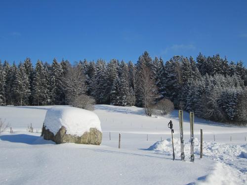 skipause