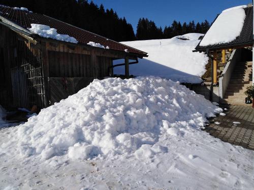 Dachschnee - einfach Winter