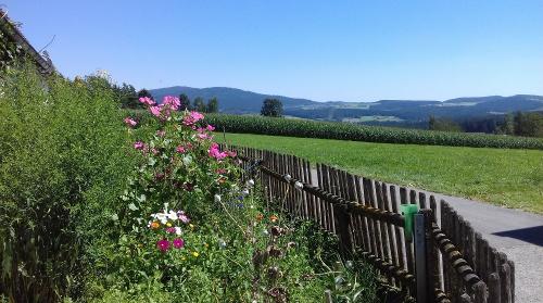 Blumen im Bauerngarten