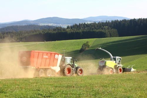 Dicke Dinger in Action