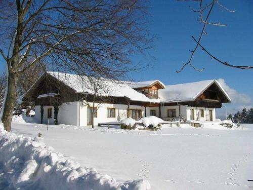 Spuren im Schnee