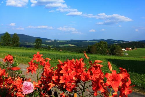 Blick auf Kandelbach