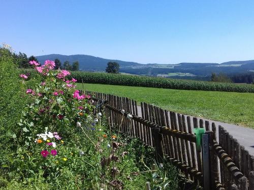 Blumen im Bauerngarten Blumen im Bauerngarten