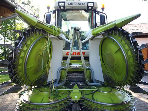 Maisgebiss Maisgebiss