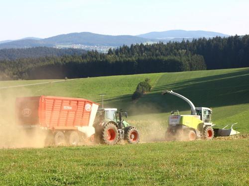 Dicke Dinger in Action Dicke Dinger in Action