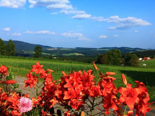 Blick auf Kandelbach Blick auf Kandelbach