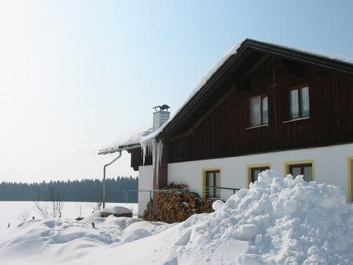 Spuren im Schnee Spuren im Schnee