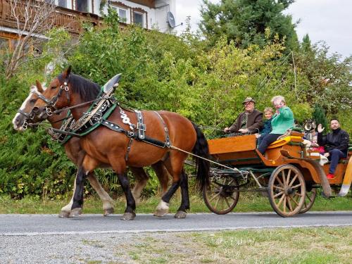 Lustige Kutschfahrt