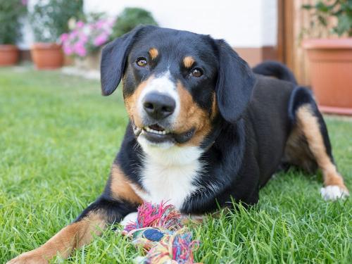 mf-20170721-mf-20170721-_Q6A6270-2