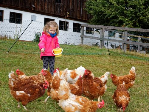 QS0A5208-DxO - Kopie