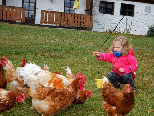 QS0A5204-DxO - Kopie