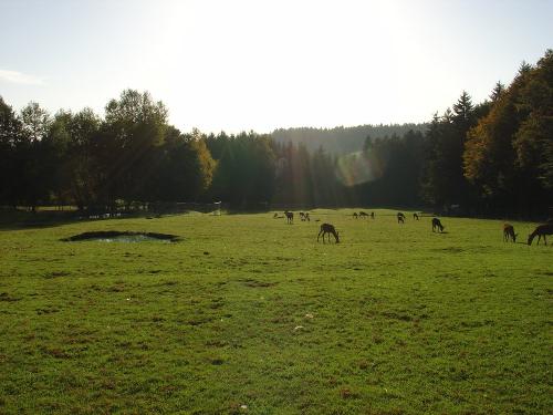 Blick vom Balkon 2