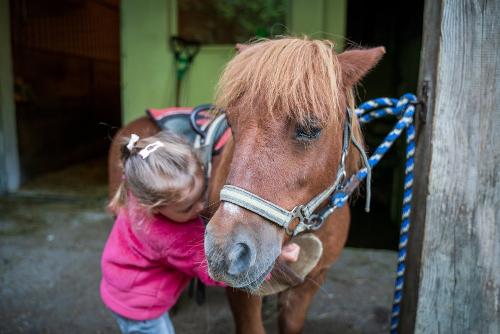 Charly ist unser kleinstes Pony