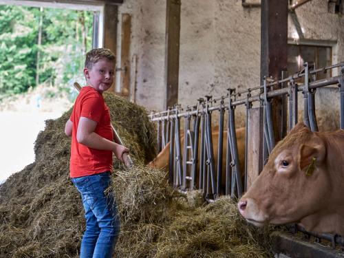 Tiere im Stall füttern