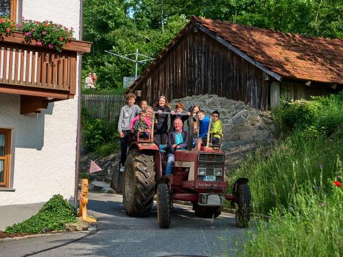 täglich Traktorfahren