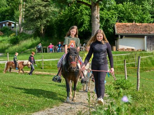 Pony reiten auf dem Reitplatz