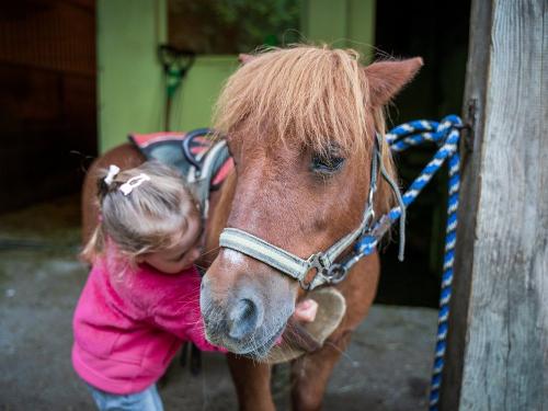Charly ist unser kleinstes Pony
