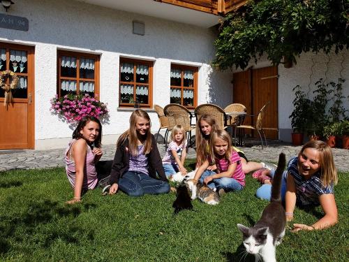 mit den Katzen schmusen