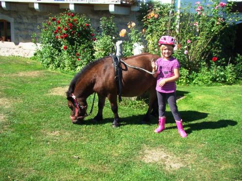 Ponyspaß am Gründingerhof