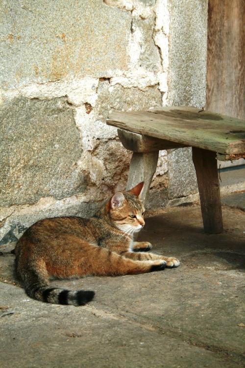 Lieblingsplätze am Gründingerhof Lieblingsplätze am Gründingerhof