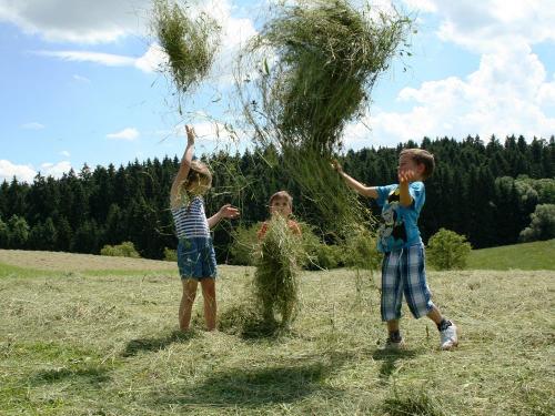 Kinder im Heu Kinder im Heu