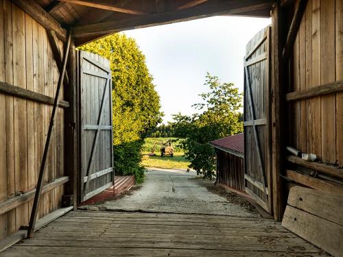 Blick aus dem Scheunentor Blick aus dem Scheunentor