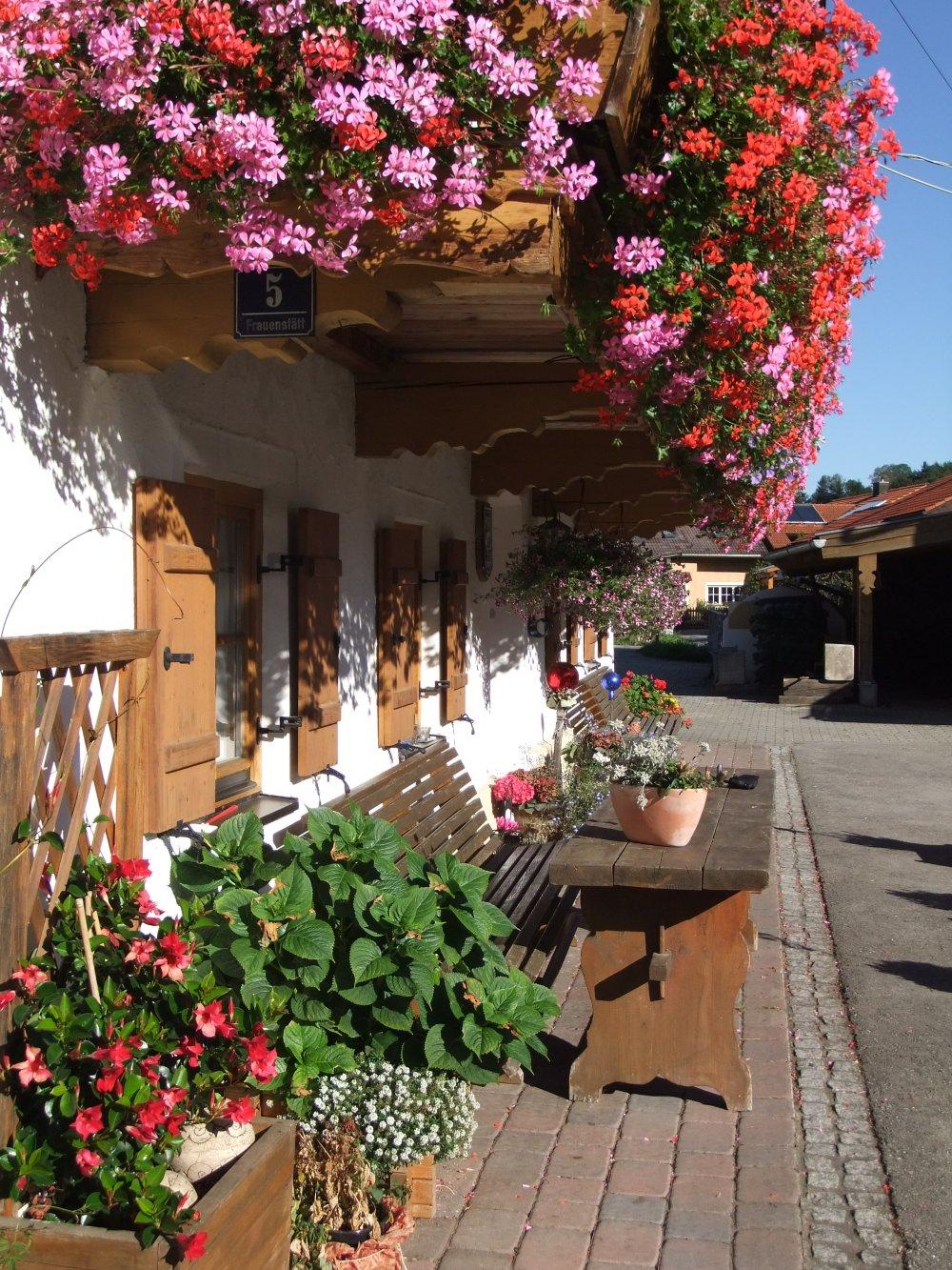 Hofbild