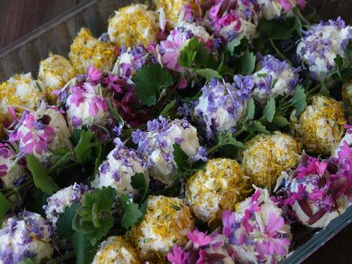 Blütenbälle Blütenbälle