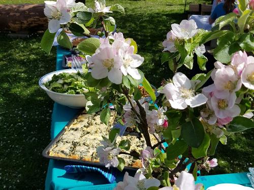 kruterkurs kruterkurs